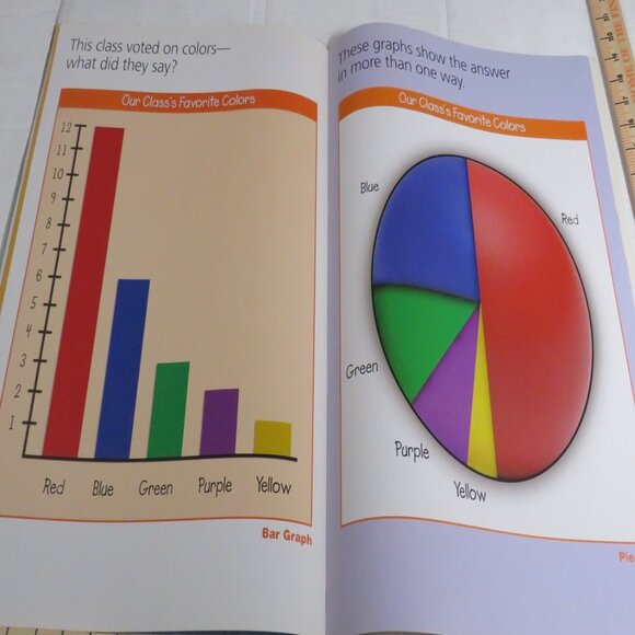 Graph It BIG BOOK (almost 2 feet tall) with teacher pages  CLASSROOM SIZE - Picture 14 of 16
